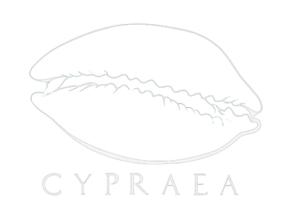 CYPRAEA